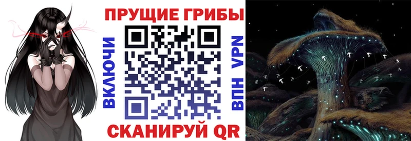 Купить где  Якутск  Галлюциногенные грибы мухоморы